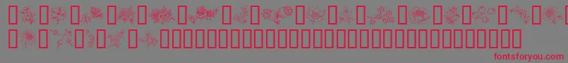 TraditionalFloralDesign Font – Red Fonts on Gray Background