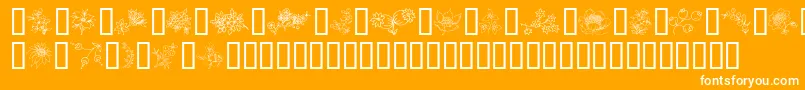 Fonte TraditionalFloralDesign – fontes brancas em um fundo laranja
