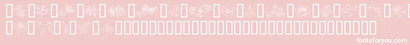 TraditionalFloralDesign Font – White Fonts on Pink Background