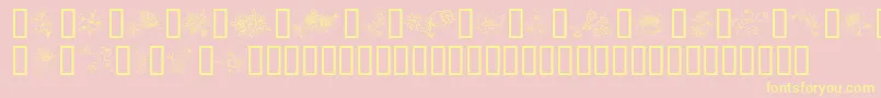 TraditionalFloralDesign Font – Yellow Fonts on Pink Background