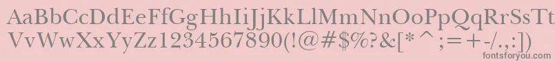 BaskervilleWin95btRoman Font – Gray Fonts on Pink Background