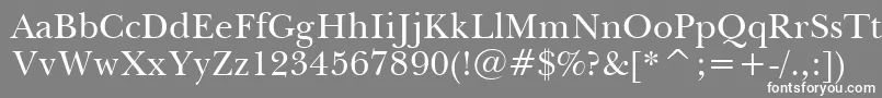 BaskervilleWin95btRoman Font – White Fonts on Gray Background