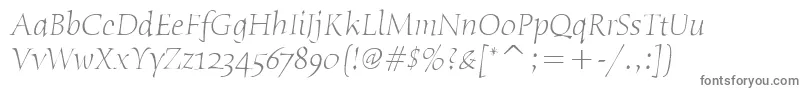 フォントHumanaSerifItcLightItalic – 灰色のフォント