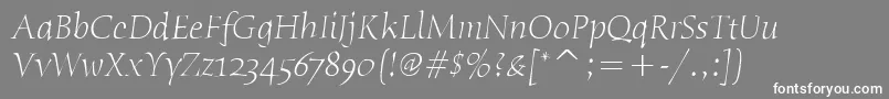 HumanaSerifItcLightItalic-Schriftart – Weiße Schriften auf grauem Hintergrund