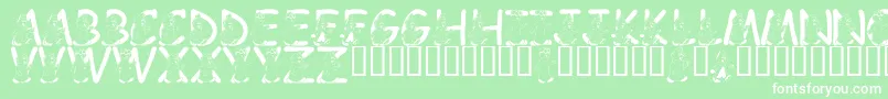 LmsWereTheChipmunks Font – White Fonts on Green Background