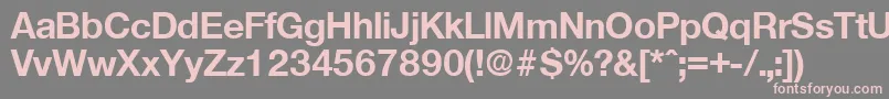 OlnovaBold Font – Pink Fonts on Gray Background