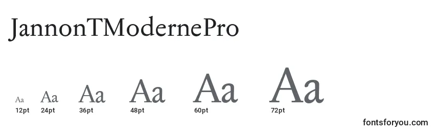 JannonTModernePro Font Sizes