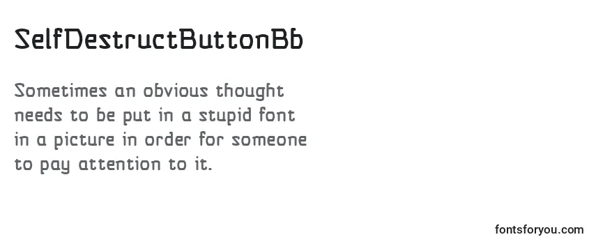 SelfDestructButtonBb Font