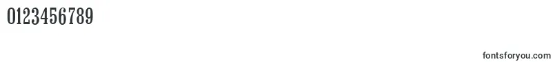 ColonelserialRegular Font – Fonts for Numbers and Digits