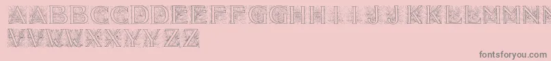 Acorninitials Font – Gray Fonts on Pink Background