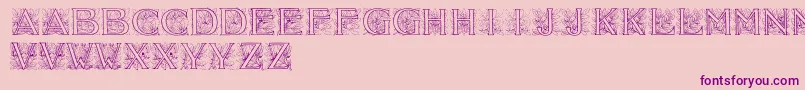 Acorninitials Font – Purple Fonts on Pink Background