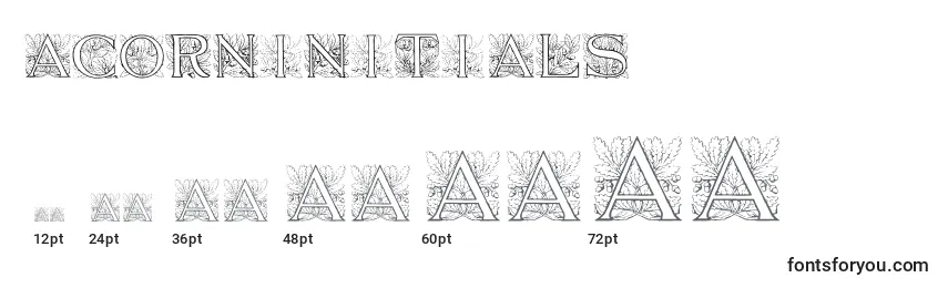 Размеры шрифта Acorninitials