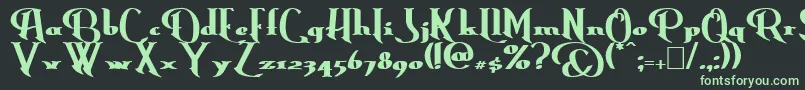 ErasmusBold Font – Green Fonts on Black Background