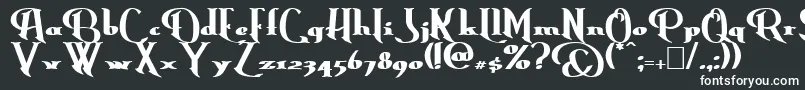 ErasmusBold Font – White Fonts