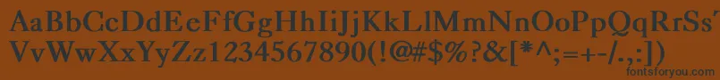CaslonBold Font – Black Fonts on Brown Background