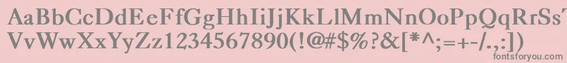 CaslonBold Font – Gray Fonts on Pink Background