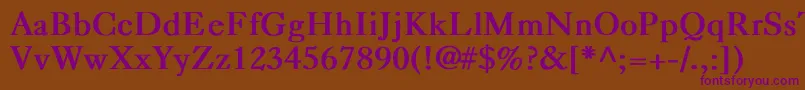 CaslonBold Font – Purple Fonts on Brown Background
