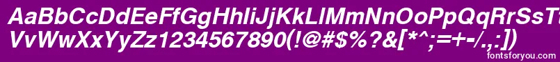 CyrveticaBoldOblique Font – White Fonts on Purple Background
