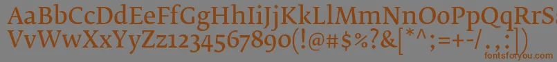 FedraserifbproNormalフォントについての詳細 フォントFedraserifbproNormal – 茶色の文字が灰色の背景にあります。
