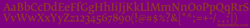 Шрифт FedraserifbproNormal – коричневые шрифты на фиолетовом фоне