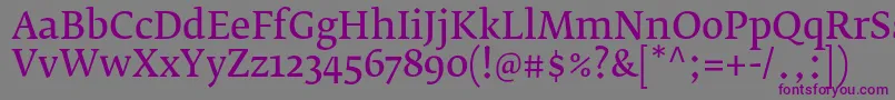 FedraserifbproNormal Font – Purple Fonts on Gray Background