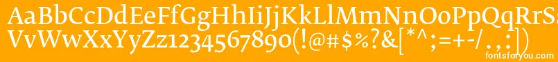 FedraserifbproNormal Font – White Fonts on Orange Background