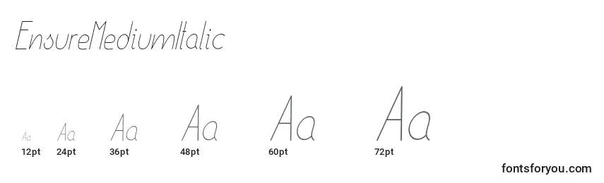 EnsureMediumItalic Font Sizes