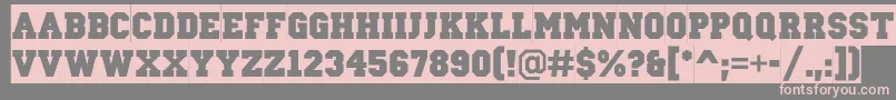 ACampussl Font – Pink Fonts on Gray Background