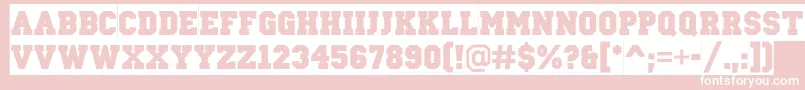 ACampussl Font – White Fonts on Pink Background