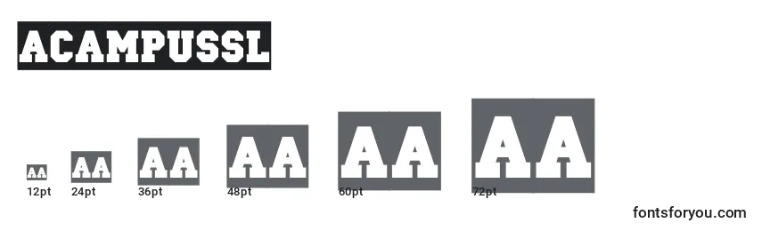 ACampussl Font Sizes