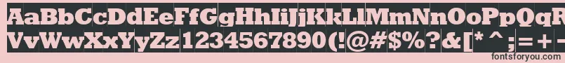 RodeoextraboldcameoNormal Font – Black Fonts on Pink Background