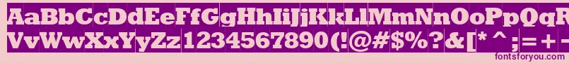 RodeoextraboldcameoNormal Font – Purple Fonts on Pink Background