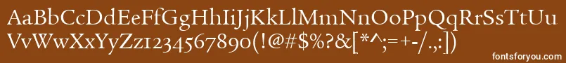 Шрифт LegacySerifOsItcTtBook – белые шрифты на коричневом фоне