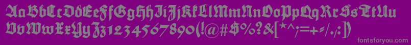 Maximilian Font – Gray Fonts on Purple Background