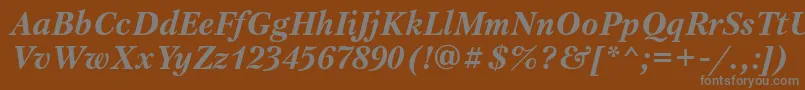 Шрифт PetersburgtttBolditalic – серые шрифты на коричневом фоне