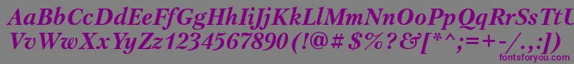 フォントPetersburgtttBolditalic – 紫色のフォント、灰色の背景