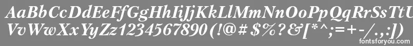 PetersburgtttBolditalic Font – White Fonts on Gray Background