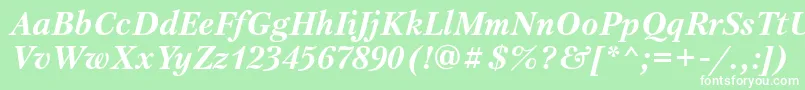 PetersburgtttBolditalic Font – White Fonts on Green Background