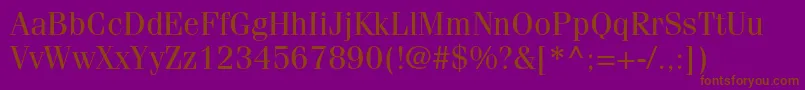 FenicestdRegular Font – Brown Fonts on Purple Background