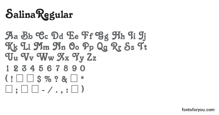 SalinaRegular-fontti – aakkoset, numerot, erikoismerkit