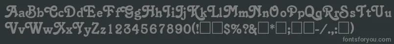 SalinaRegular Font – Gray Fonts on Black Background