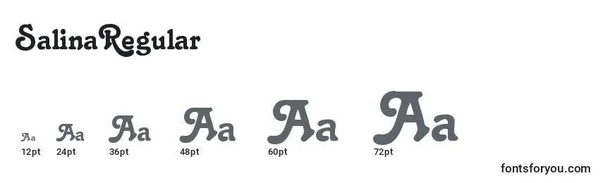 Размеры шрифта SalinaRegular
