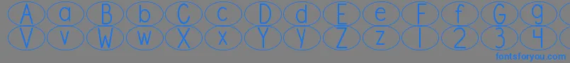 Шрифт DjbStandardizedTestOval – синие шрифты на сером фоне