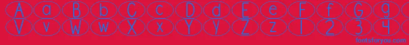 DjbStandardizedTestOval Font – Blue Fonts on Red Background