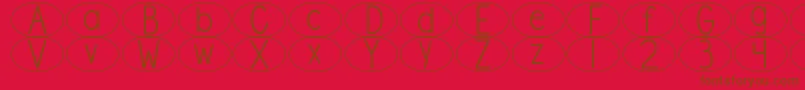 DjbStandardizedTestOval Font – Brown Fonts on Red Background