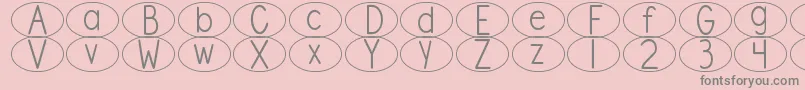 DjbStandardizedTestOval Font – Gray Fonts on Pink Background