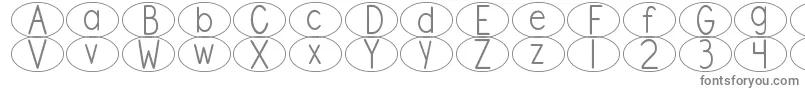 DjbStandardizedTestOval Font – Gray Fonts on White Background