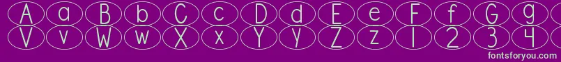 DjbStandardizedTestOval Font – Green Fonts on Purple Background