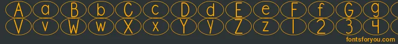 DjbStandardizedTestOval Font – Orange Fonts on Black Background