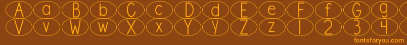 DjbStandardizedTestOval Font – Orange Fonts on Brown Background